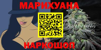прущие крисы Гай