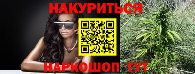 прущие крисы Гай
