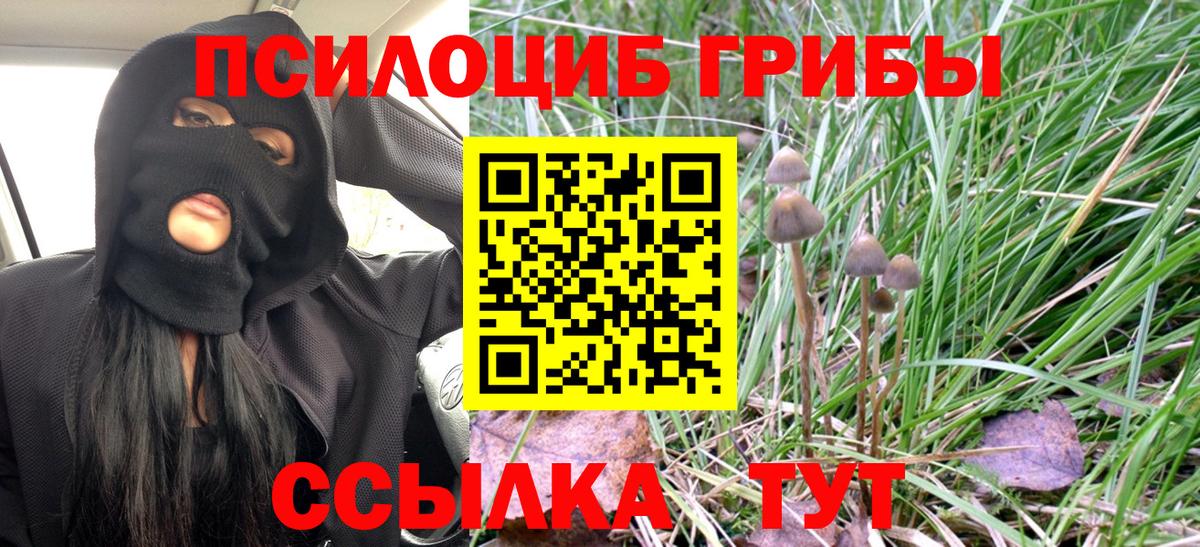 Галлюциногенные грибы мухоморы Назарово