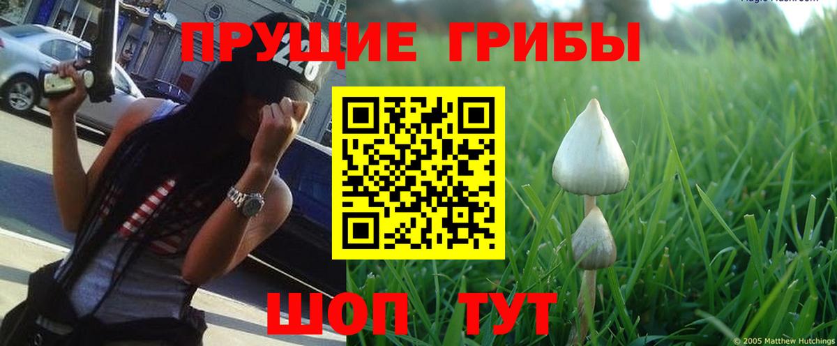 Назарово  Галлюциногенные грибы Magic Shrooms  Вход с VPN  Псилоцибиновые грибы Psilocybine cubensis 